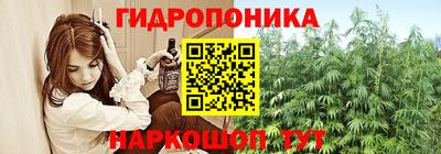 прущие грибы Абакан