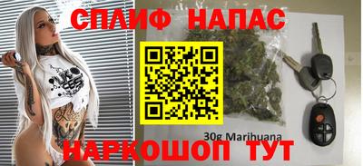 прущие грибы Абакан