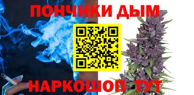 прущие грибы Абакан