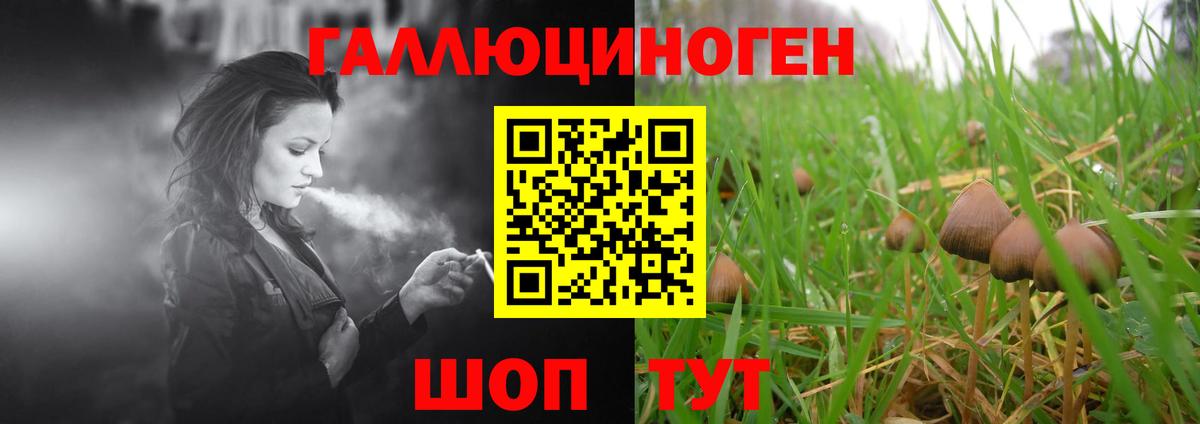 Псилоцибиновые грибы Magic Shrooms  Вход с VPN  Псилоцибиновые грибы мицелий  Ангарск 